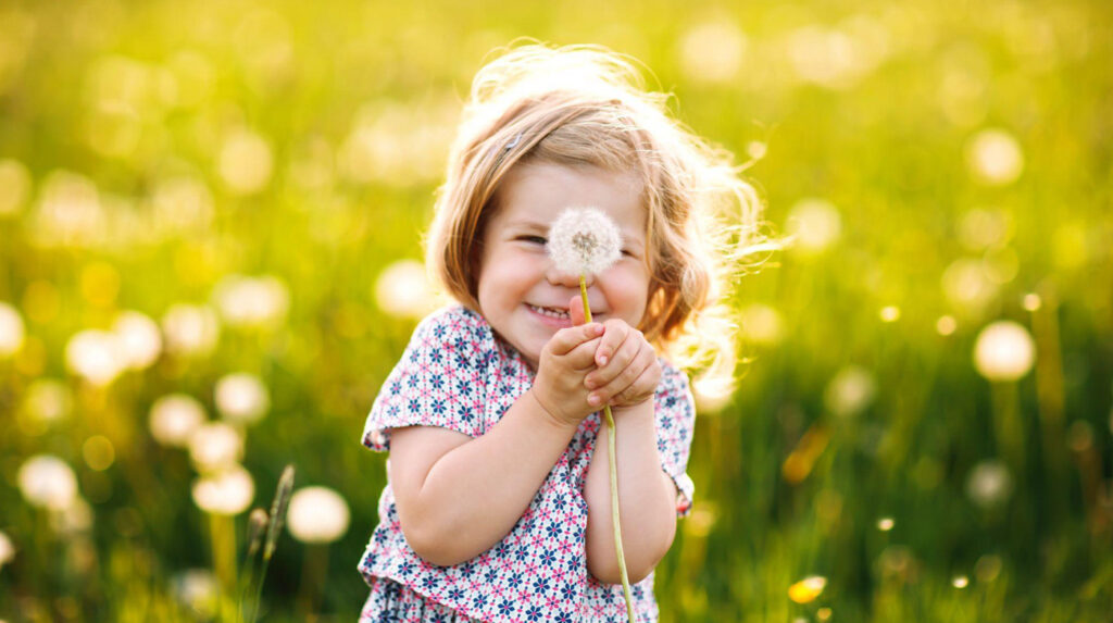 Young child in a field of dandelions in the spring